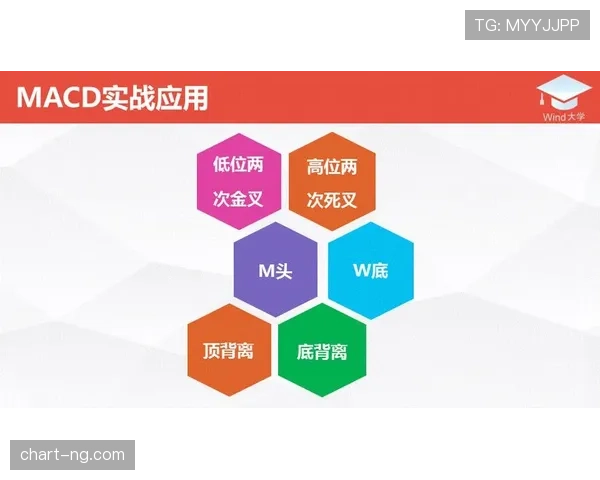 防守圆柱体扩展规则是什么？详解NBA最新判罚标准与实战应用